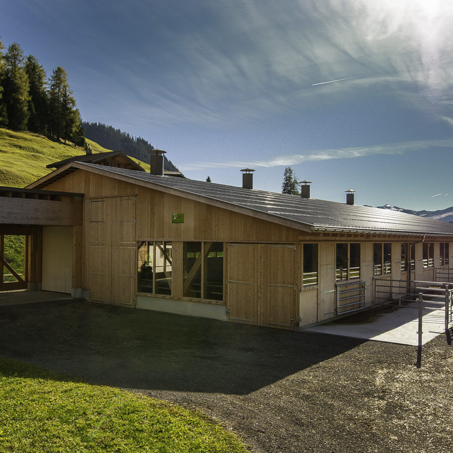 Bild C